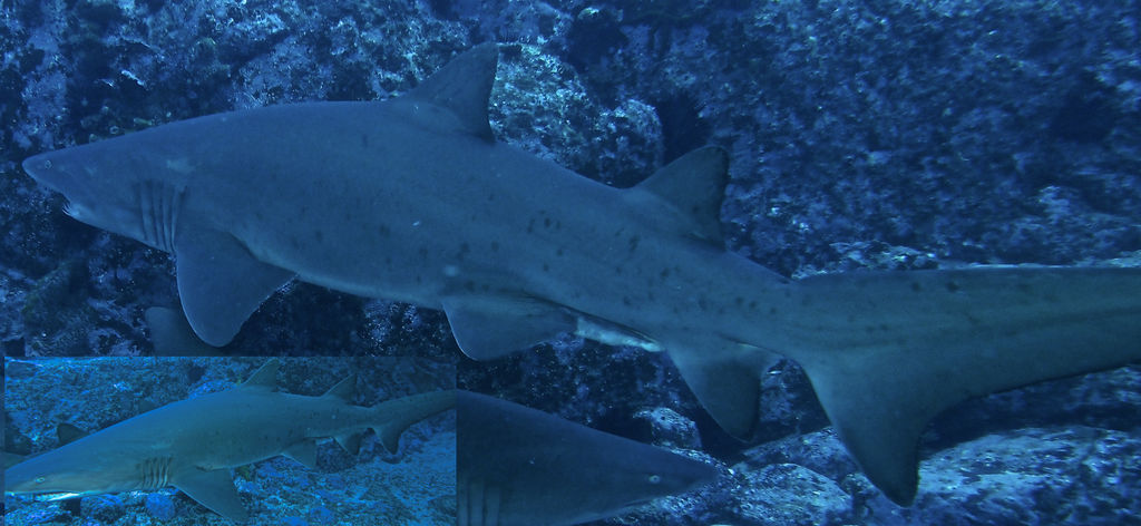 10858d8a-b7cf-4077-aa97-ecc41f50c614