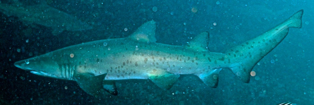 c5e5dac6-823c-4e94-bc2d-196f151fabf6