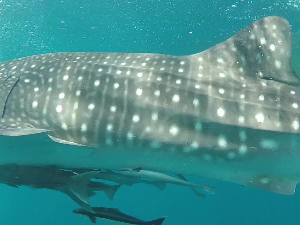 4cdd898f-d667-416d-a671-5fbb62fba7b1