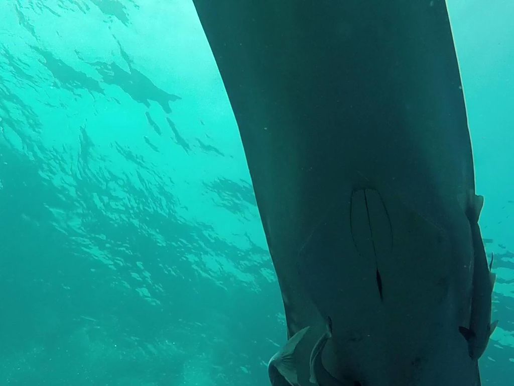 4cdd898f-d667-416d-a671-5fbb62fba7b1