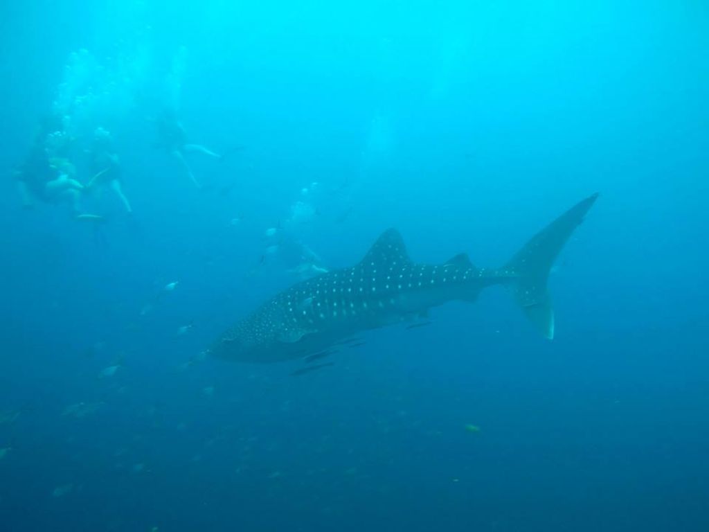 4c066ea5-b963-49b8-81ab-d4126e4f27a3