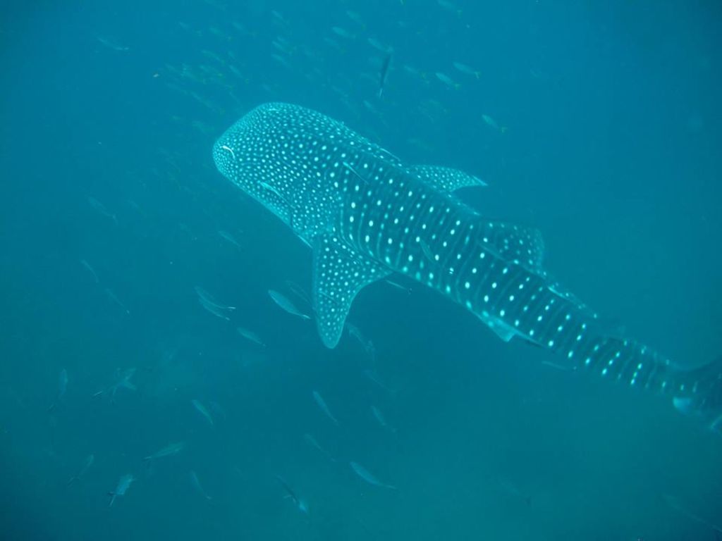 4c066ea5-b963-49b8-81ab-d4126e4f27a3