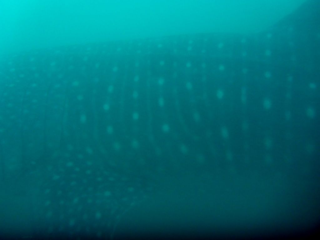 94e9b8ef-78db-44a5-a303-11c8c724d33d