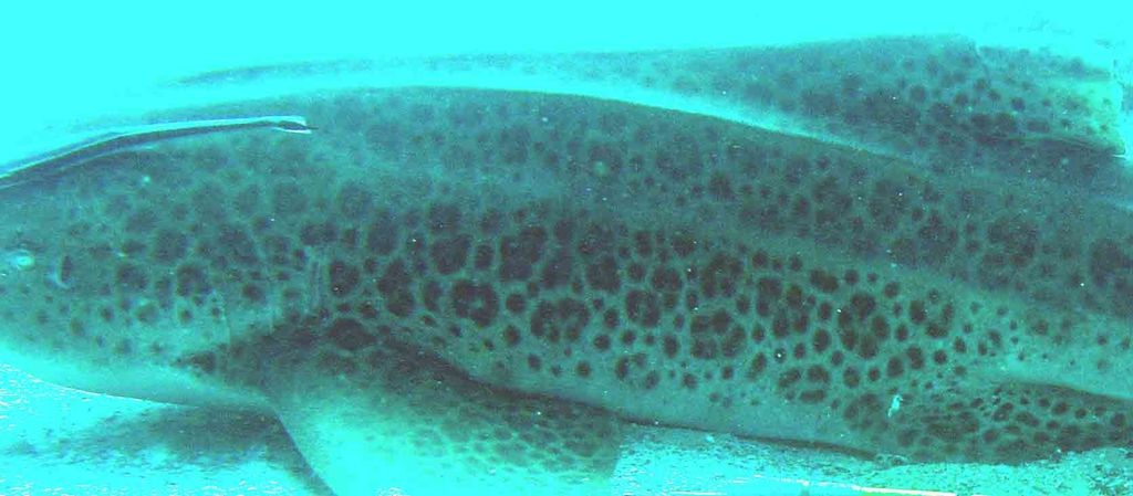 2b7e6bd0-55ec-4503-8702-f4c45597de4f