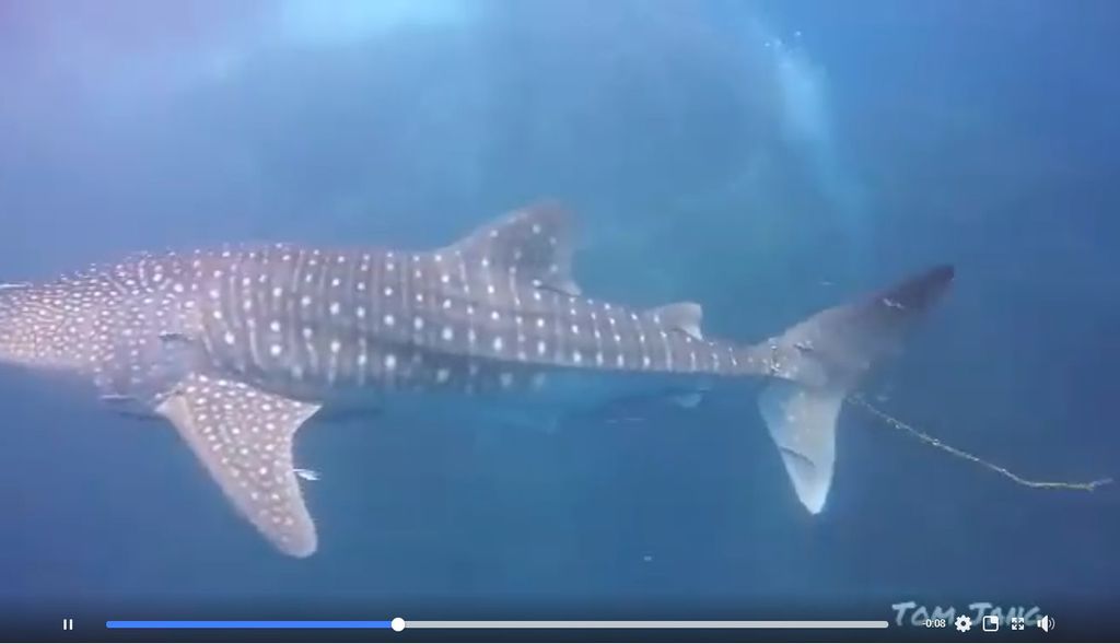 701f8e71-c7f8-4984-9f56-aa5c867b190f