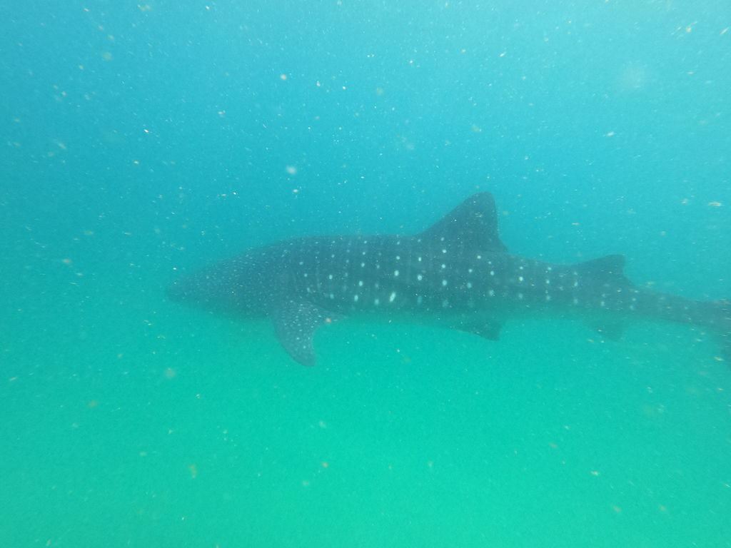 a4fc8651-b032-49d0-9fa3-264eaad98992