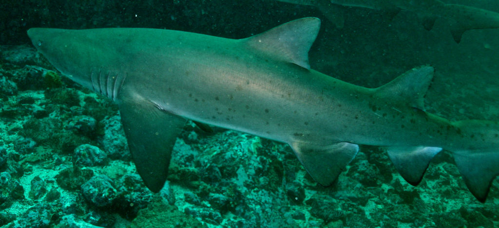 0a2a3660-8158-444b-a74a-547126cf22eb