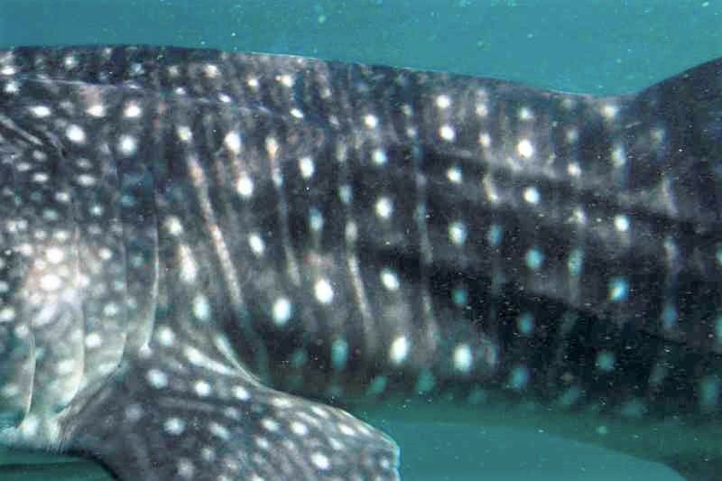 e1ccb605-569e-4b03-8b64-dc20f154aa07