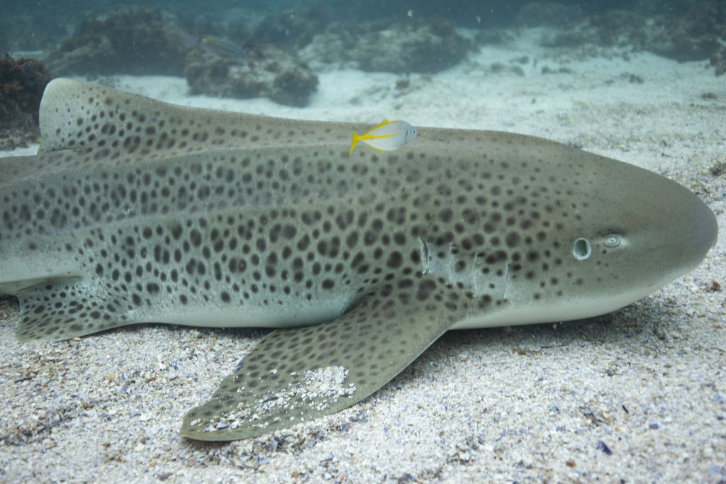 6ef545cc-4576-4782-ae25-def0f5323c5c