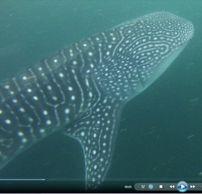 a9cfd1bf-4548-4057-8adc-d1ad622cac44