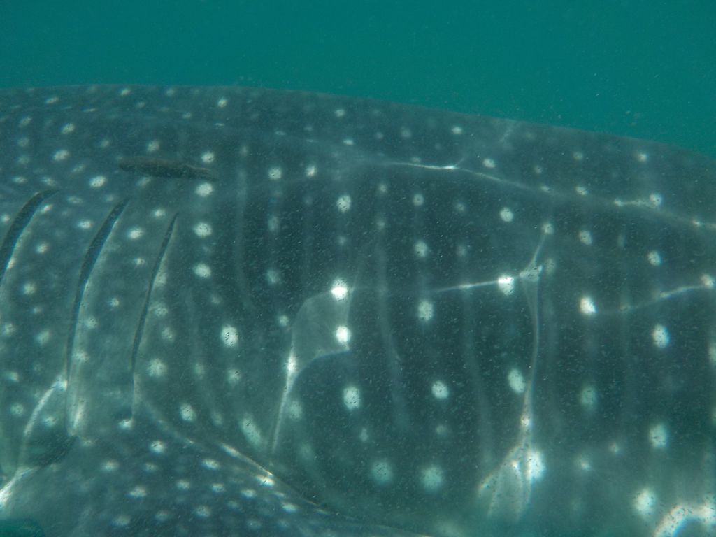 71d9f6b7-ea03-434b-bb29-9dae28eed8a7