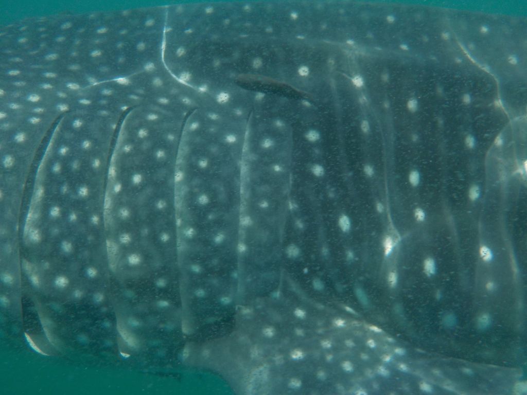 71d9f6b7-ea03-434b-bb29-9dae28eed8a7