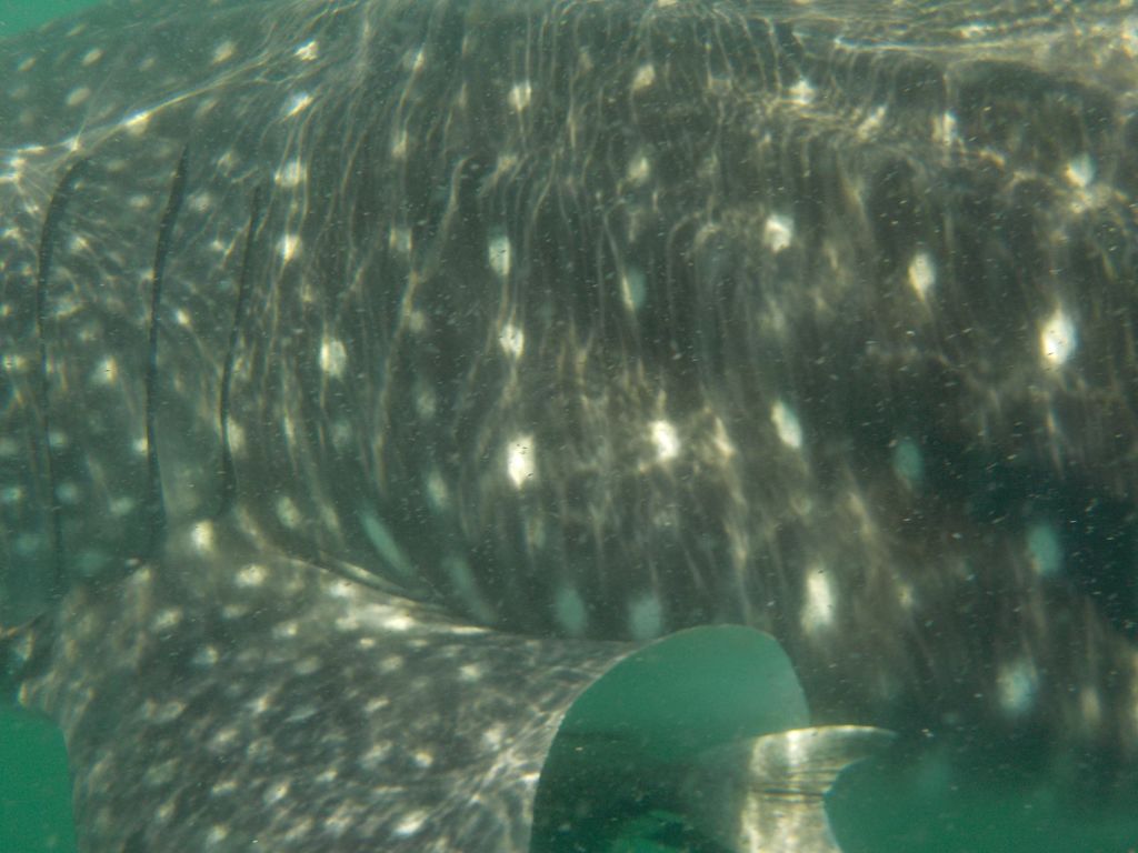 71d9f6b7-ea03-434b-bb29-9dae28eed8a7