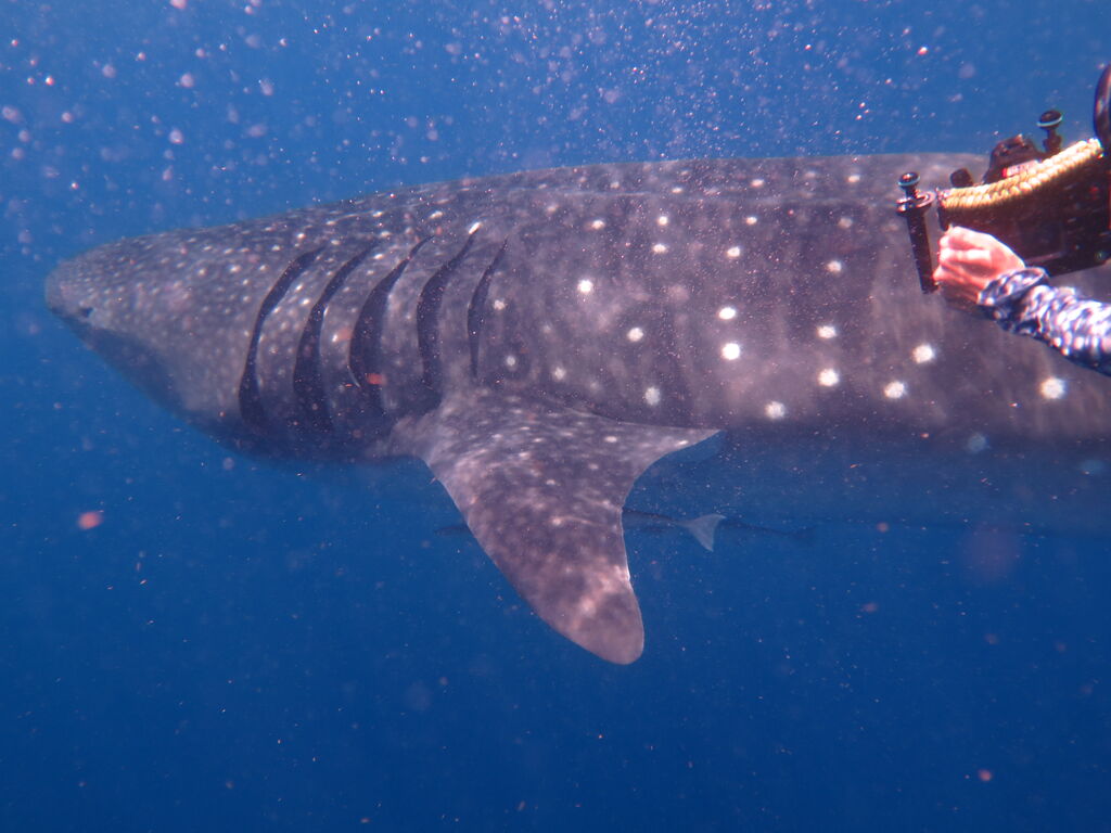 452b0aa7-c452-496c-b825-a70aaeaeb3e4