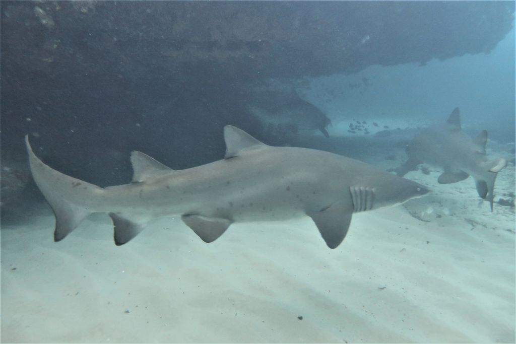 d3e5676f-2e69-4172-b788-50a3dd008a21