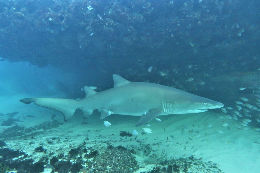 d3e5676f-2e69-4172-b788-50a3dd008a21