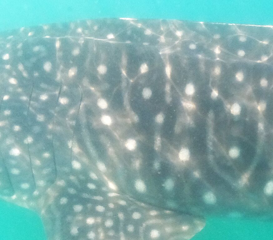 a4d4d169-cfda-4936-a07d-db98db6b4a0f