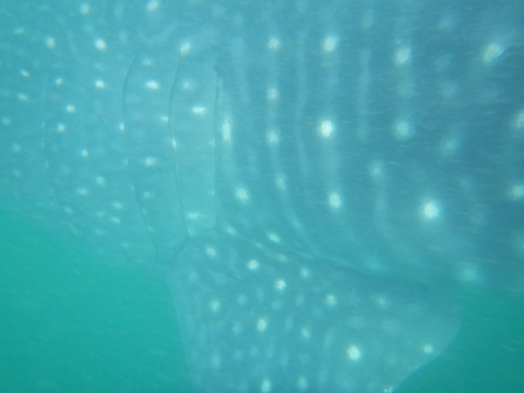 f767afd0-154b-4433-8a8c-5084eb56f8e1