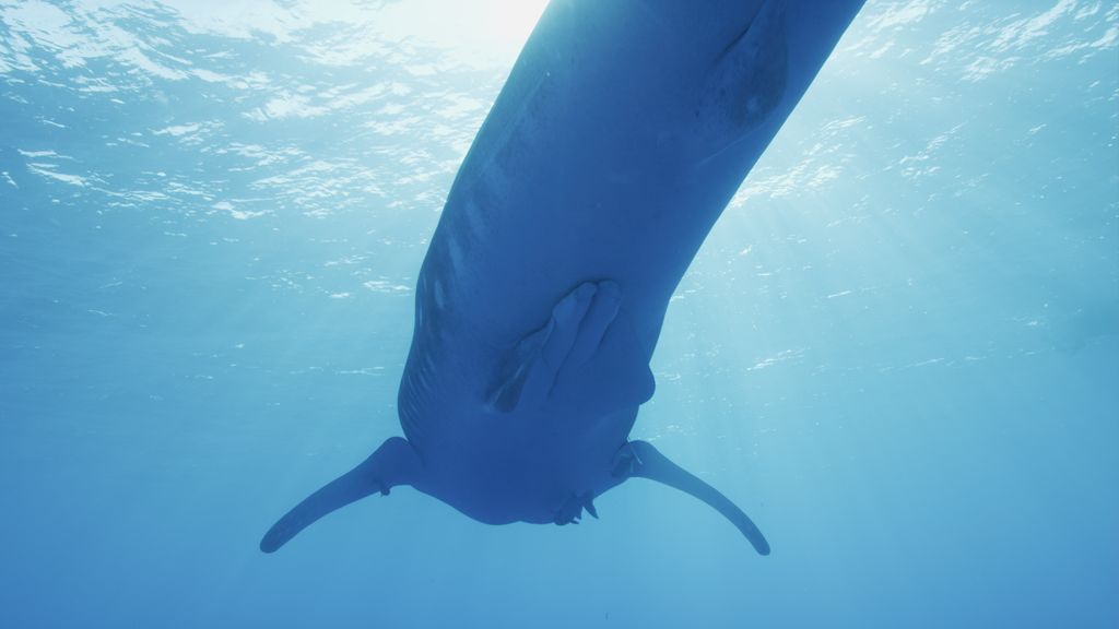 c3fb2b6d-bf60-4f16-876e-d83f00413426