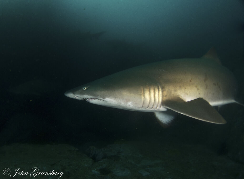 ef16d243-5c6e-481d-bc3b-5ad9b6adcd77