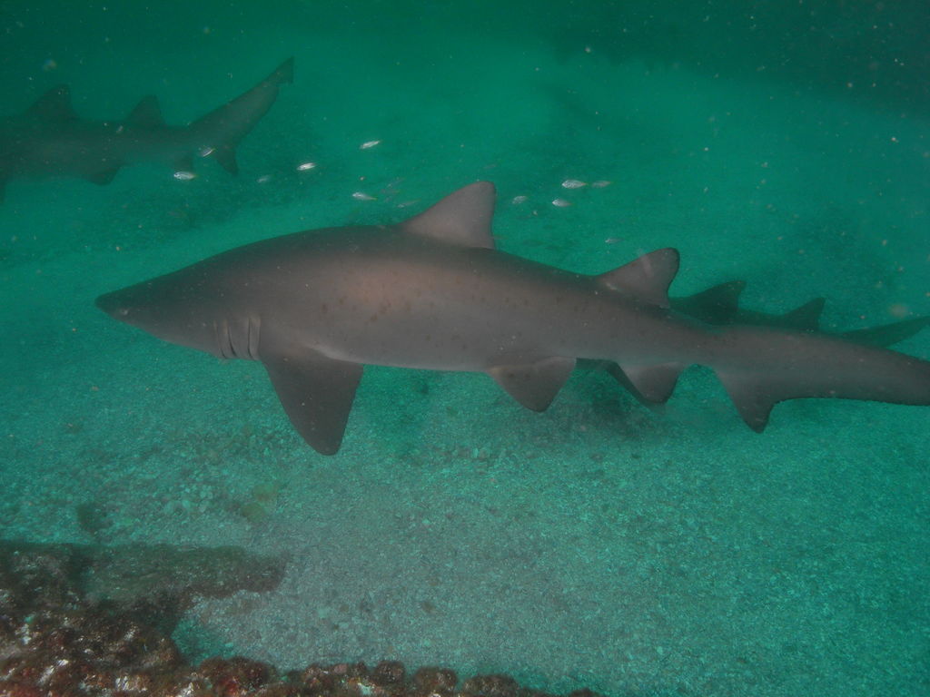 78abc743-22ca-4b16-8c14-7304fd15fd7a