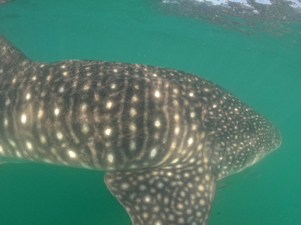 0f89c903-959a-466b-819a-c9eef4f5d500