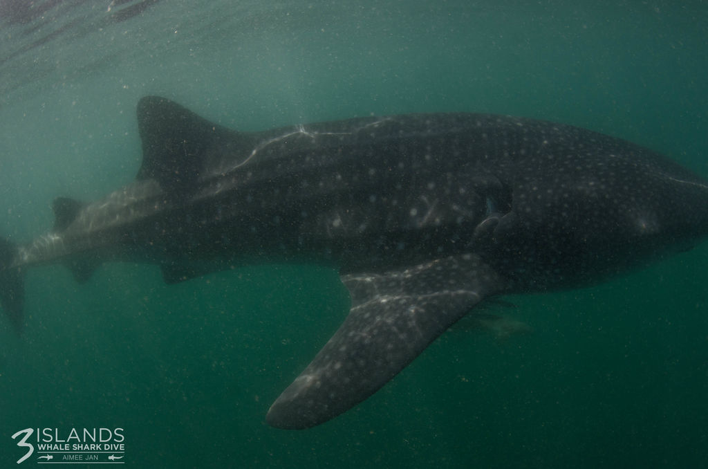 26a89fa0-ef44-4294-923c-660347df0ef2