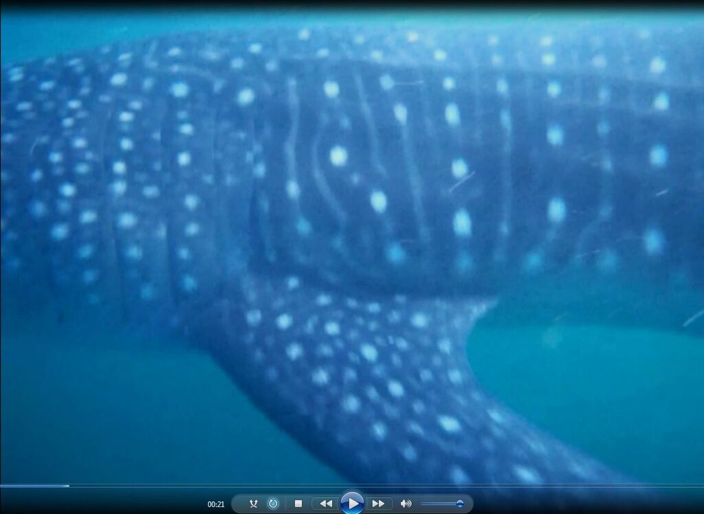 78260721-e1f8-45ee-9844-fc83d2af2370