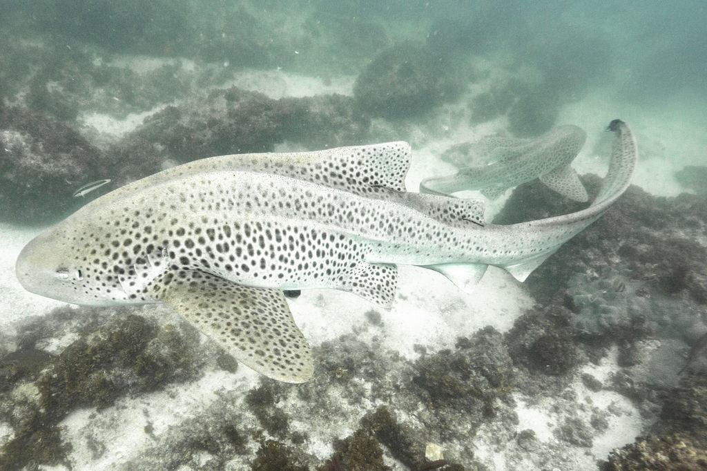 a2c0c8dc-760a-4c29-bd53-f635bb67131a