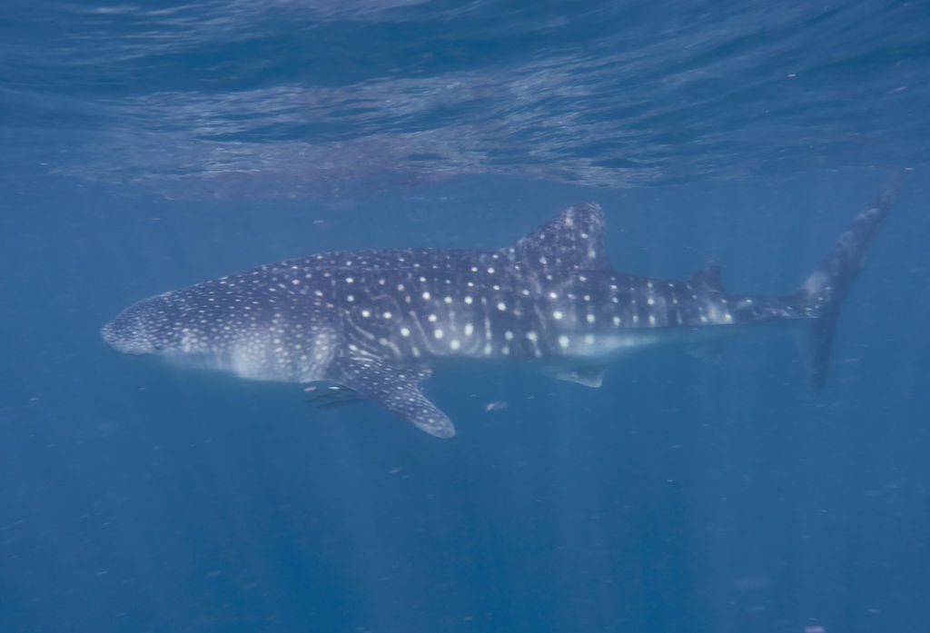 351e51c8-391b-4312-9845-5f6e70037b6c