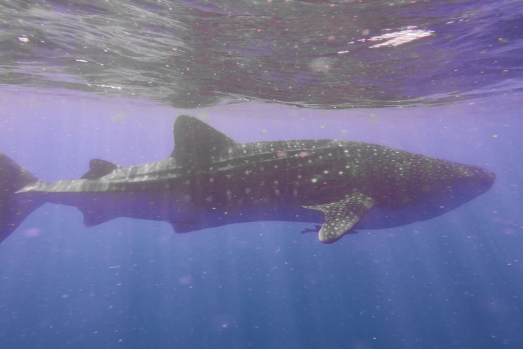 351e51c8-391b-4312-9845-5f6e70037b6c