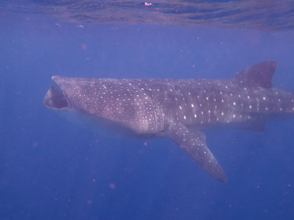 24ce5bd0-92f8-4f95-82db-59ca76719a19