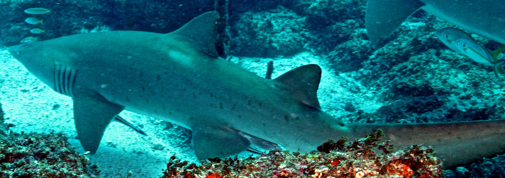 b1495e34-4ac8-4d52-a096-38b5d84782dc