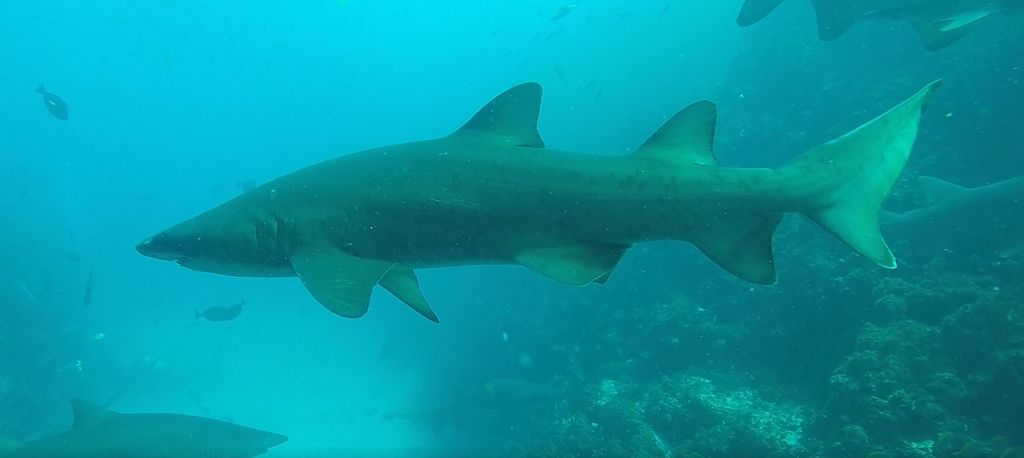 f173363b-5388-4ec7-94be-c28cbeb6397f