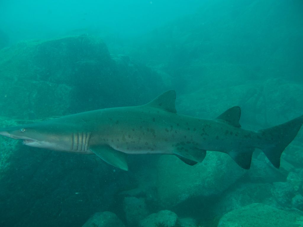 8c93a73f-d66d-4800-aa9b-68e86d1e39b3