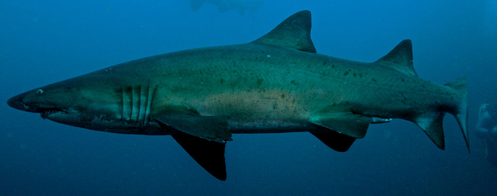 7460ef72-cc5f-4c66-ae28-ec203b7539b2