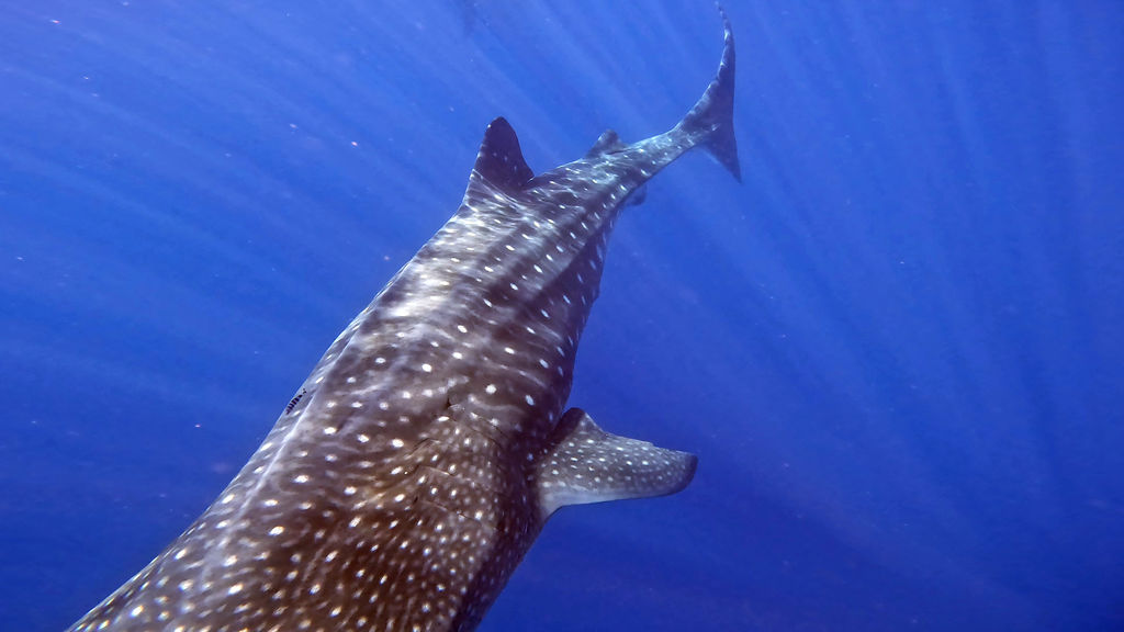 31946053-99b8-439c-84b3-4cf97d80b88e