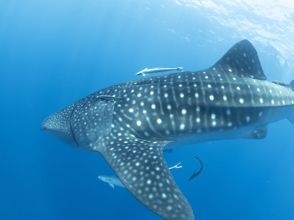 98b26685-9154-49ca-9aaf-d938d9d7fcec