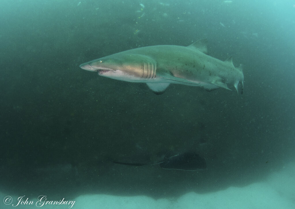 fe798643-48a4-4e77-816b-f14d8dc73779