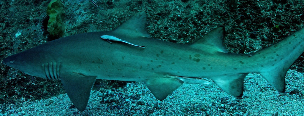 cca500bc-2a32-4f0b-9e89-6e6ea0d88a25