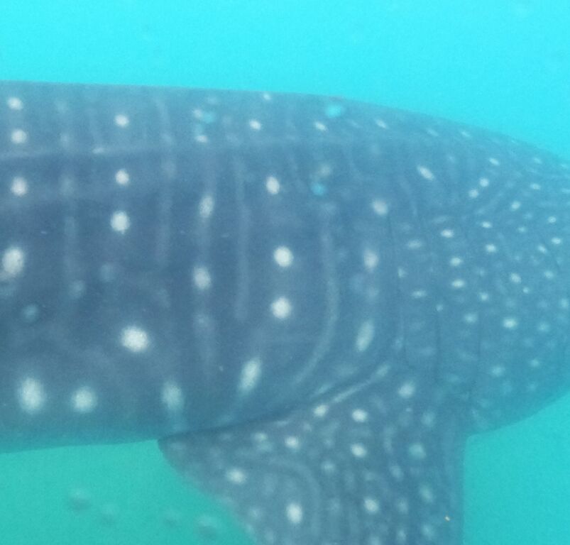 e1310ec6-d5b3-419c-a8ab-7dd401bddc63