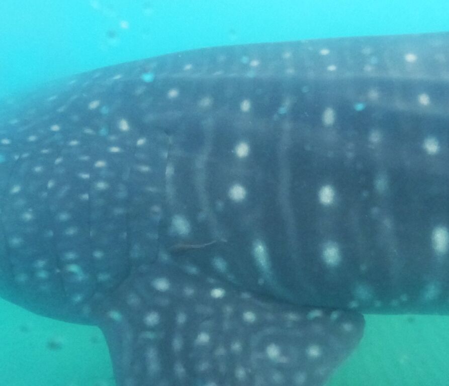 e1310ec6-d5b3-419c-a8ab-7dd401bddc63