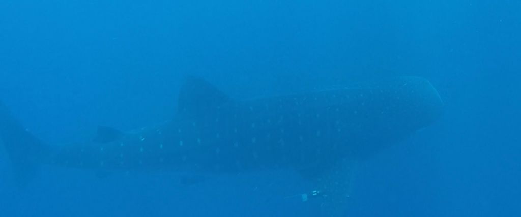 49c34251-2fa7-449f-a418-ef5b571757b3