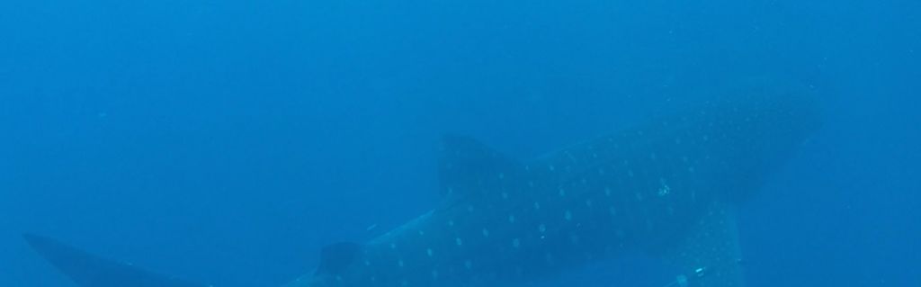 49c34251-2fa7-449f-a418-ef5b571757b3