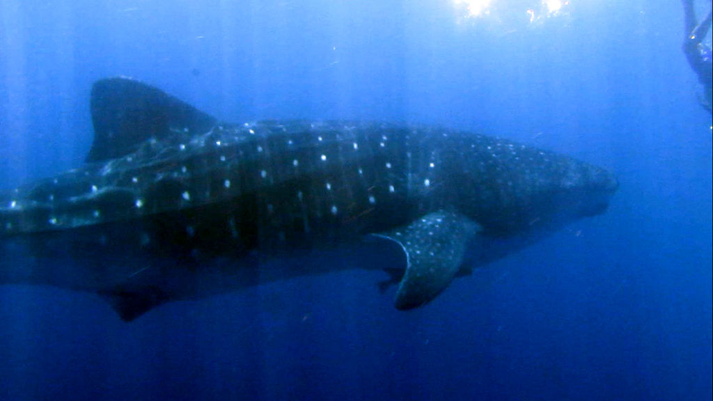 fcdd56ef-fbc9-4d86-aabe-21123c22a921