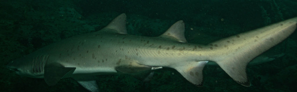 7b68d1cf-2c13-4e5a-b121-672247fdeaee