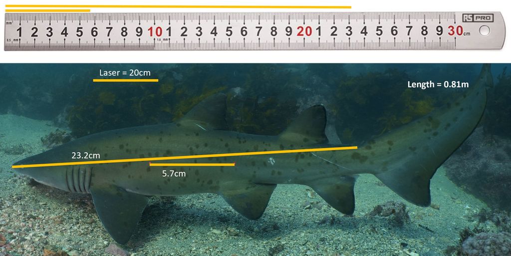 f8909bd7-f4dc-4c4a-8349-5309fbfbbe58