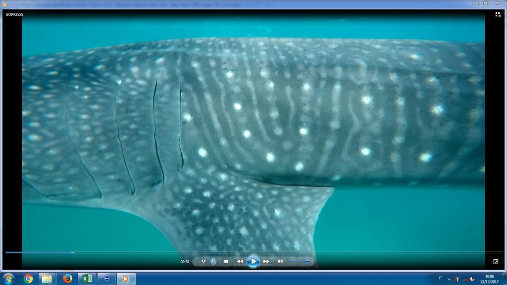 d4012751-f238-40a9-9085-ff57cc7affa3