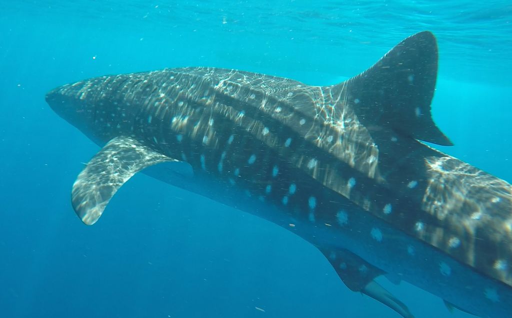 7aacc72d-e31c-4322-b0ef-5922f7fd3c23