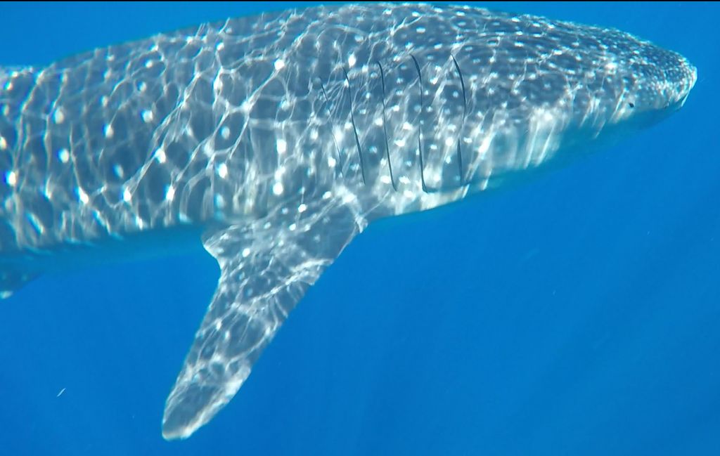 7aacc72d-e31c-4322-b0ef-5922f7fd3c23